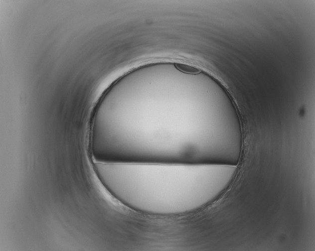 X0000115771523200911131010