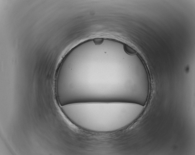 X0000115771525200911131010
