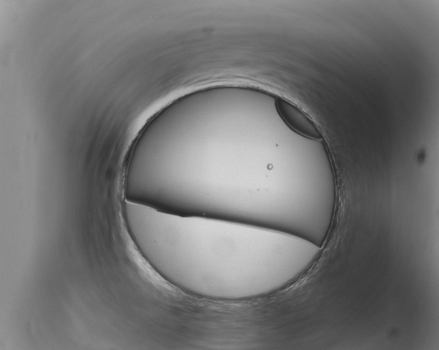 X0000115771526200911131010
