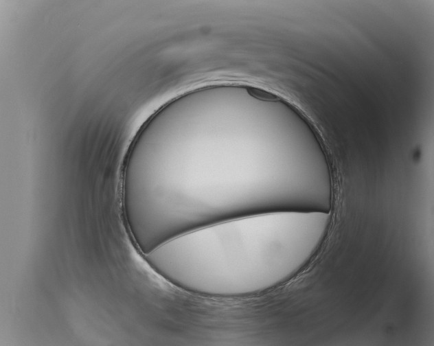 X0000115771527200911131010