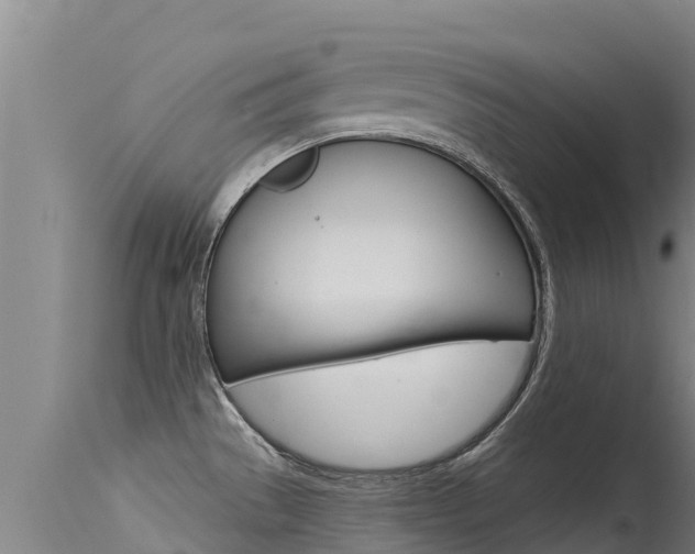 X0000115771529200911131010