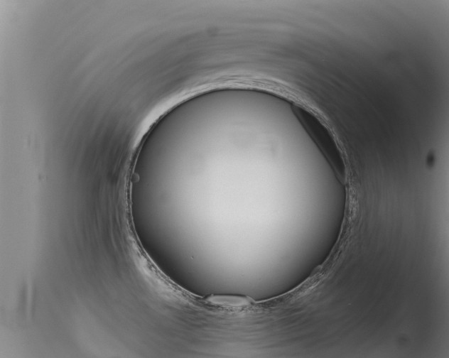 X0000115771530200911131010