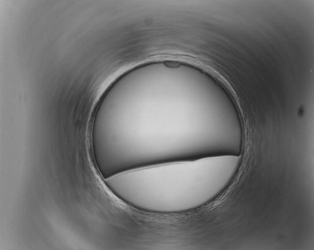 X0000115771533200911131010