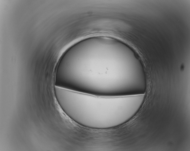 X0000115771534200911131010