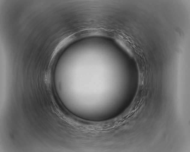 X0000115770004200911131226