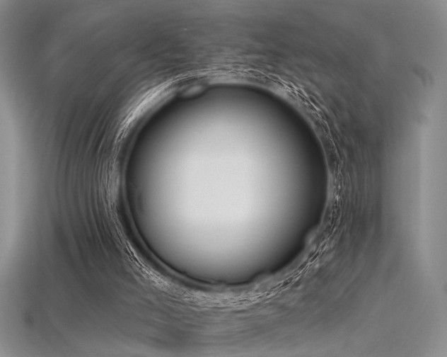 X0000115770005200911131226