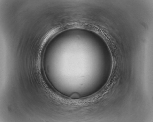 X0000115770006200911131226