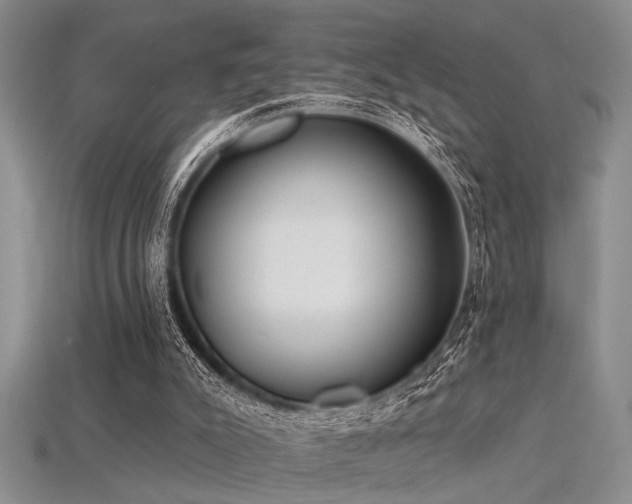 X0000115770007200911131226