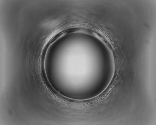 X0000115770008200911131226