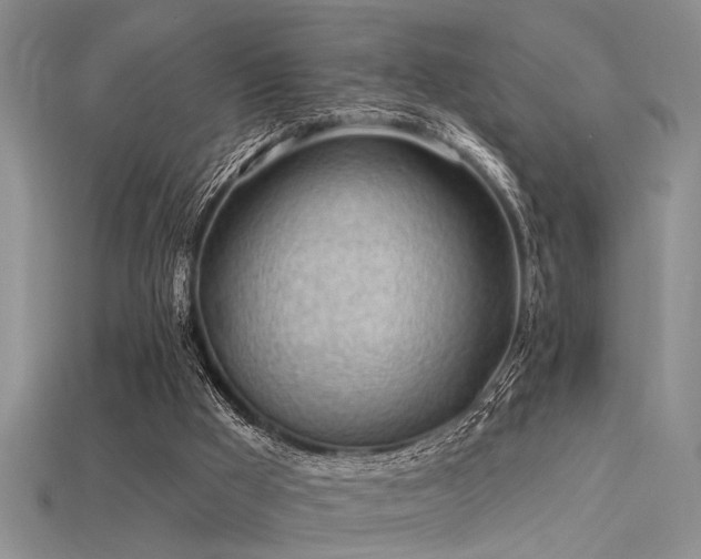 X0000115770009200911131226