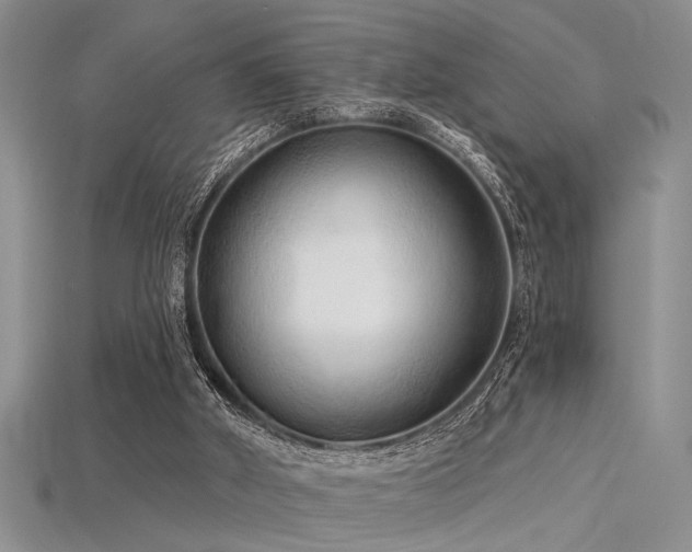 X0000115770010200911131226