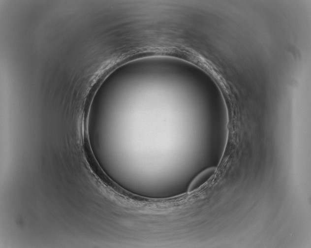 X0000115770011200911131226