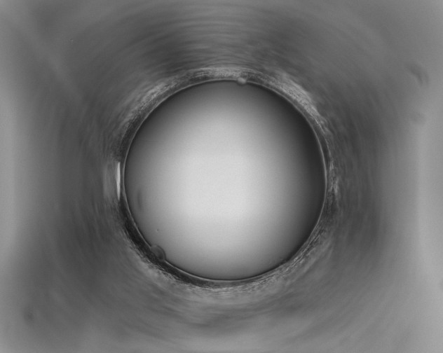 X0000115770013200911131226