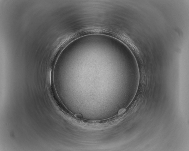 X0000115770014200911131226