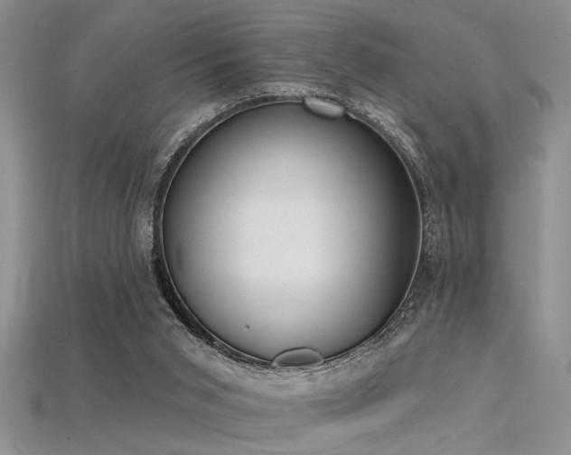 X0000115770015200911131226