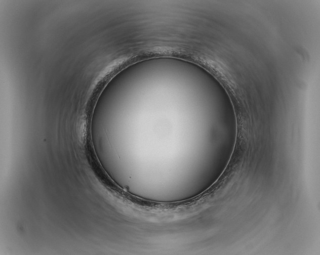 X0000115770016200911131226