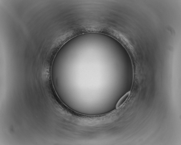 X0000115770017200911131226
