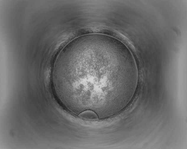 X0000115770018200911131226