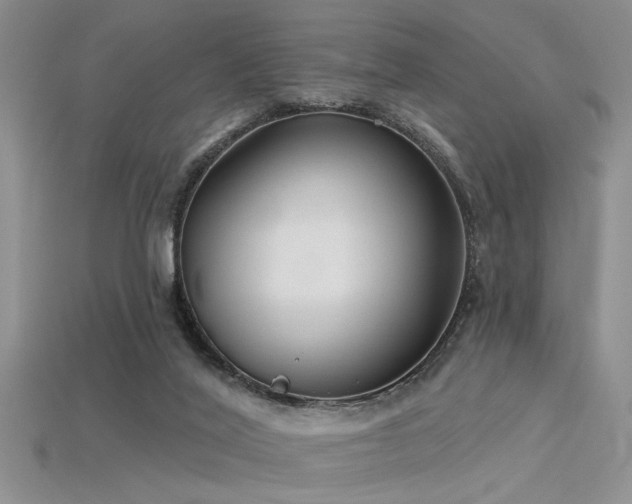 X0000115770020200911131226