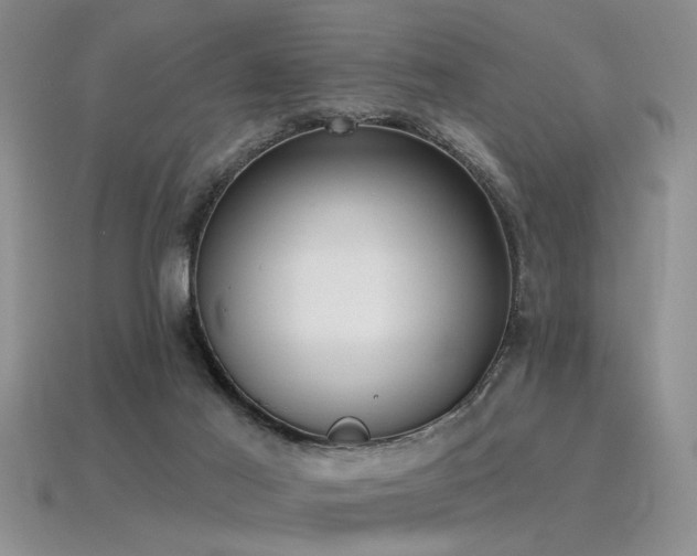 X0000115770021200911131226