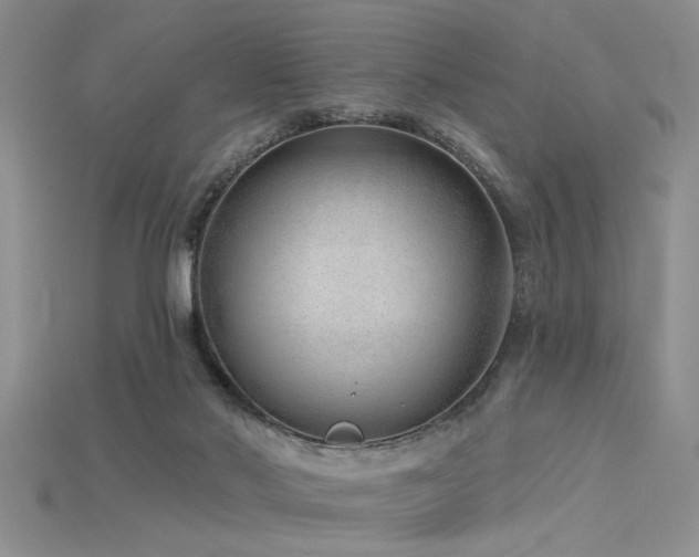 X0000115770022200911131226