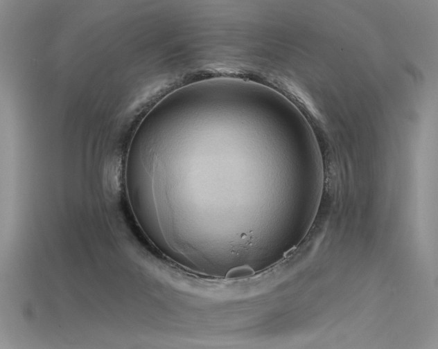 X0000115770023200911131226