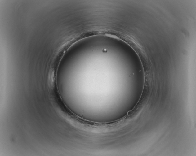 X0000115770024200911131226