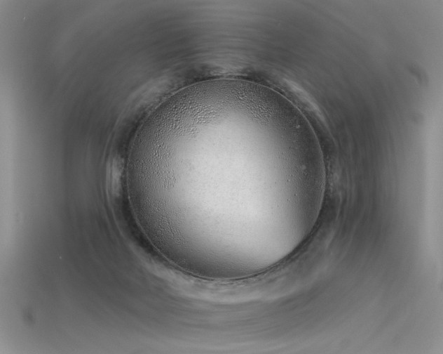 X0000115770026200911131226