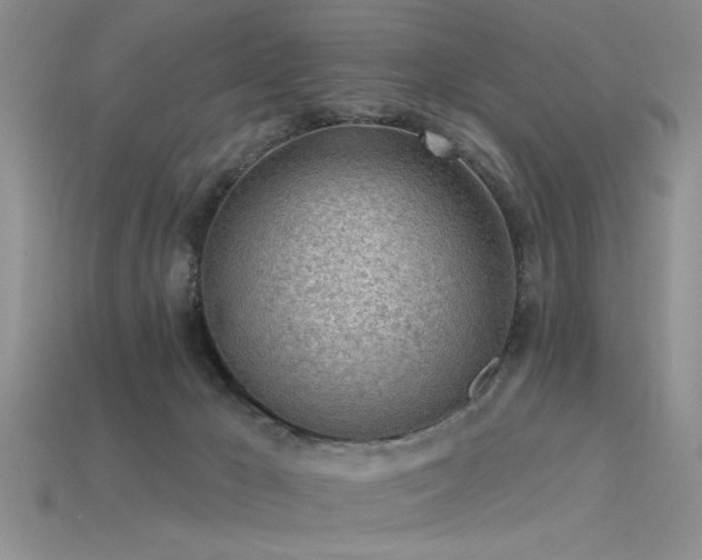 X0000115770029200911131226
