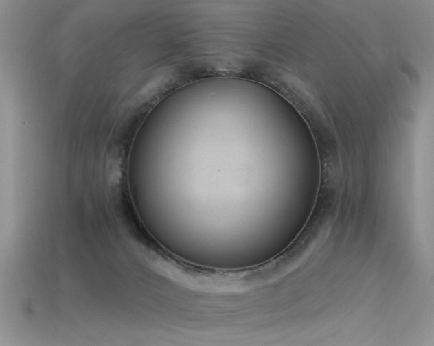 X0000115770032200911131226