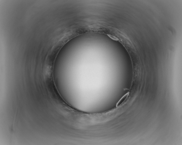 X0000115770033200911131226
