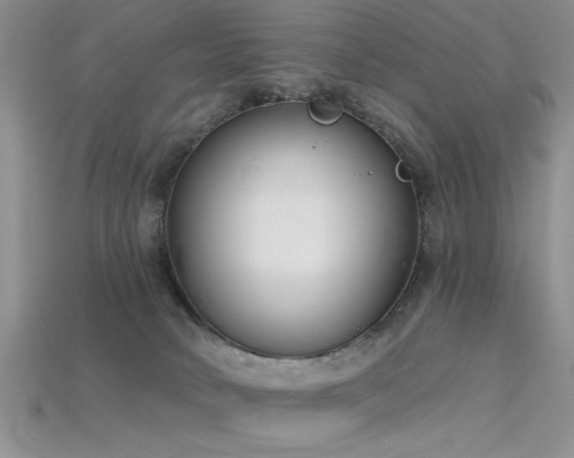 X0000115770034200911131226