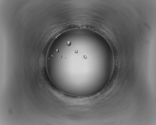 X0000115770036200911131226