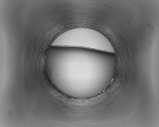 X0000115770037200911131226
