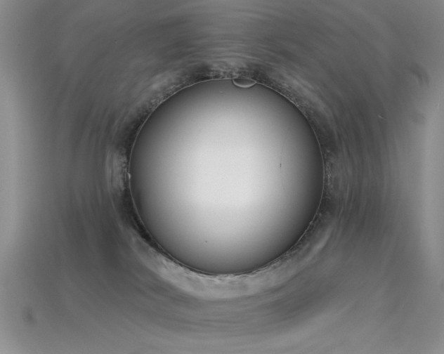 X0000115770038200911131226