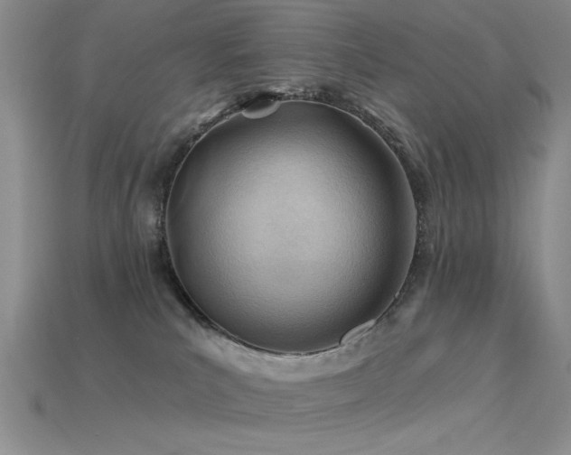 X0000115770039200911131226