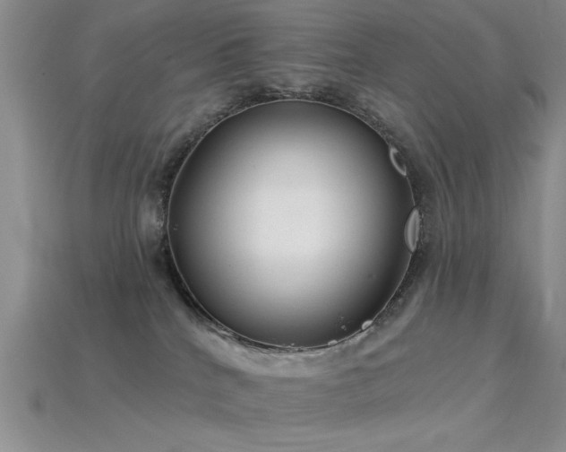 X0000115770040200911131226