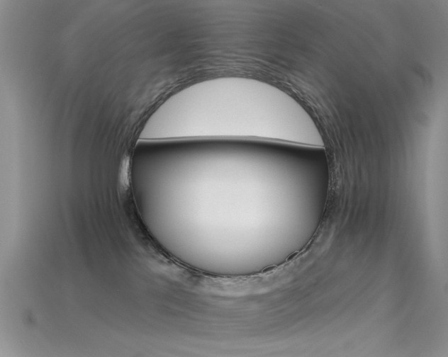 X0000115770041200911131226