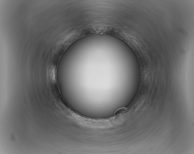 X0000115770042200911131226