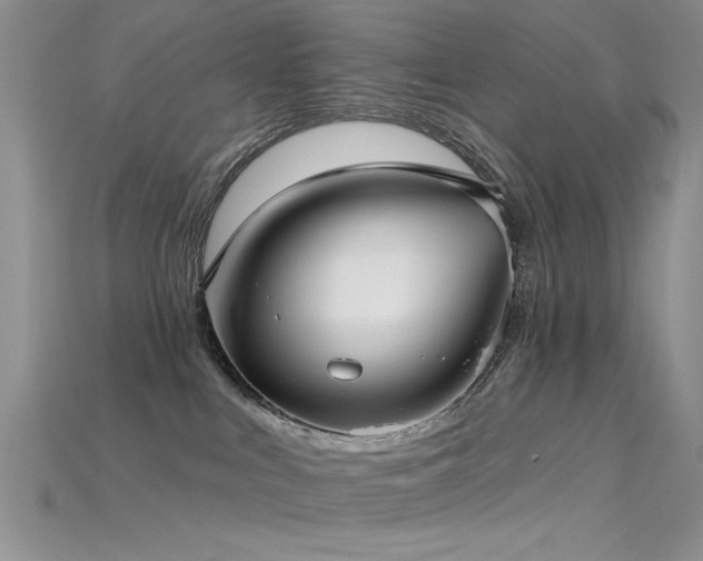 X0000115770043200911131226