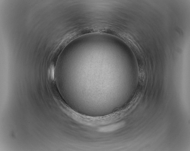 X0000115770046200911131226