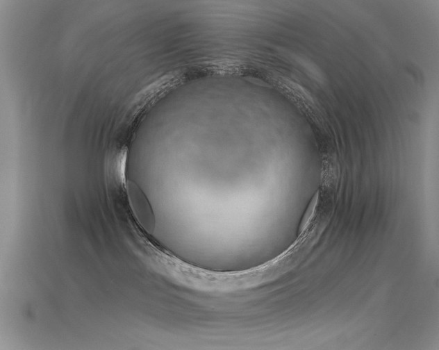 X0000115770047200911131226