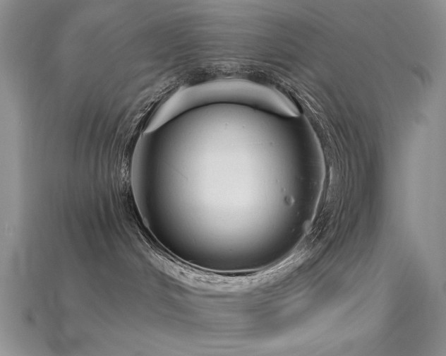X0000115770048200911131226