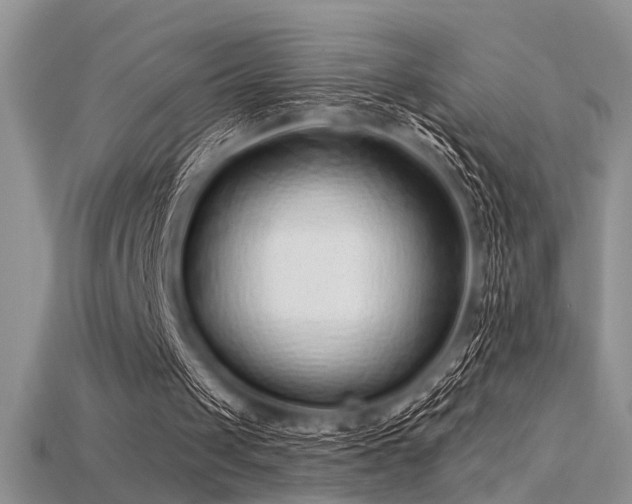 X0000115770049200911131225