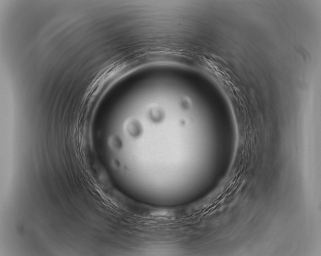 X0000115770050200911131225