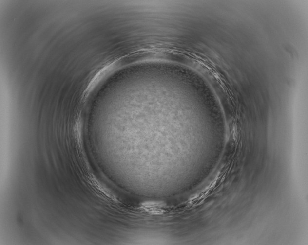 X0000115770051200911131225