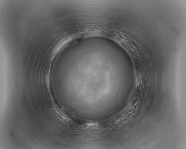 X0000115770052200911131225