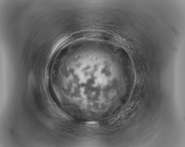 X0000115770053200911131225
