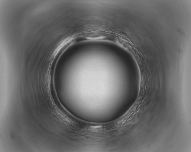 X0000115770054200911131225