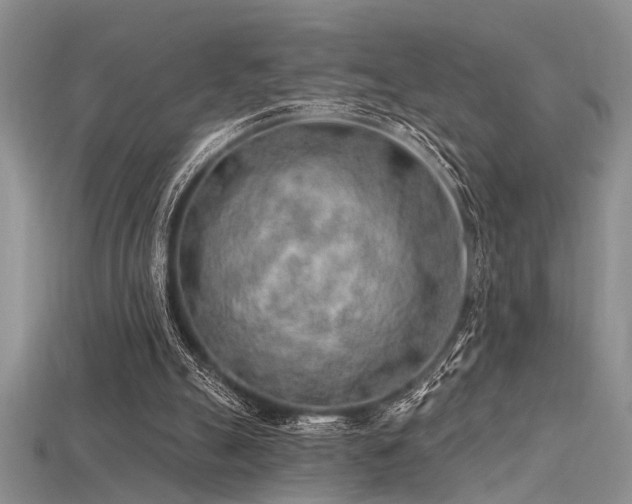 X0000115770055200911131225